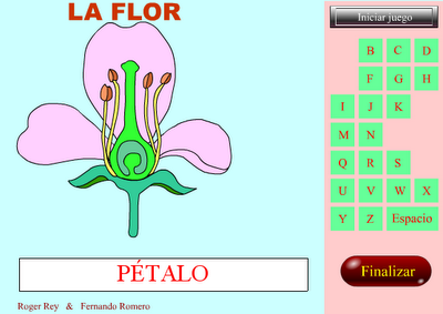 flor1